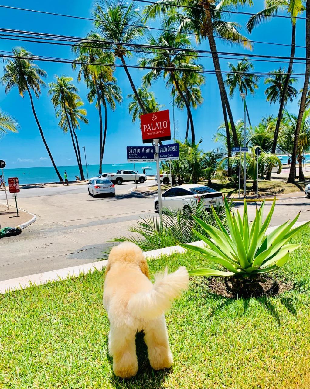 Luxuoso Beira-mar Em Ponta Verde - Ap Completo E Melhor Localizado De Maceio! Apartamento *